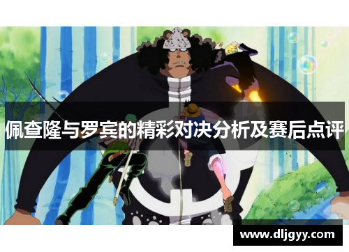 佩查隆与罗宾的精彩对决分析及赛后点评